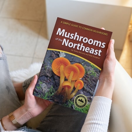 Mushrooms of the Northeast_ A Simple Guide to Common Mushrooms