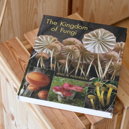 The Kingdom of Fungi