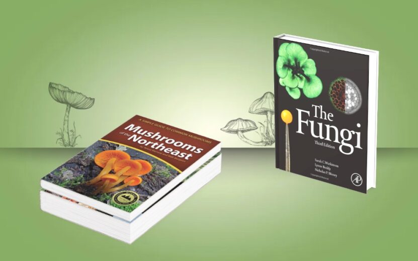 buying guide Mycology Textbooks