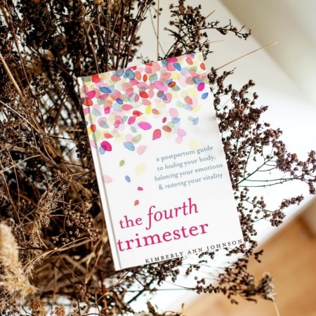 The Fourth Trimester by Kimberly Ann Johnson