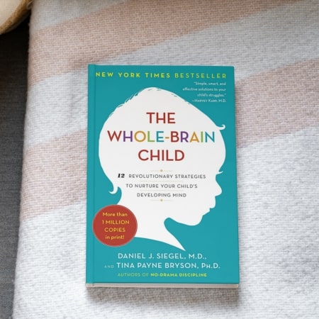 The Whole-Brain Child by Daniel J. Siegel and Tina Payne Bryson