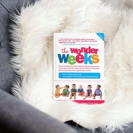 The Wonder Weeks by Frans X. Plooij and Hetty van de Rijt